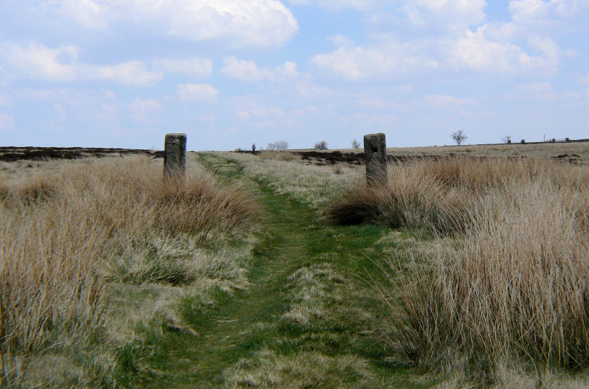 Nell Croft Field Nell Croft Field